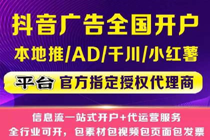 专业SEM服务托管方案案例分析